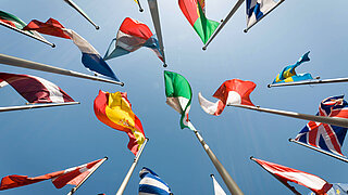 Several national flags on flagpoles pictured from below.